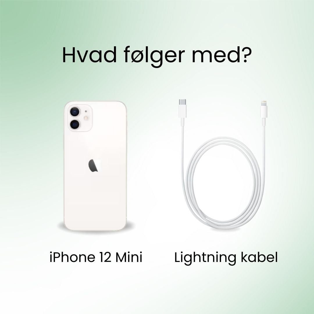 iPhone 12 Mini