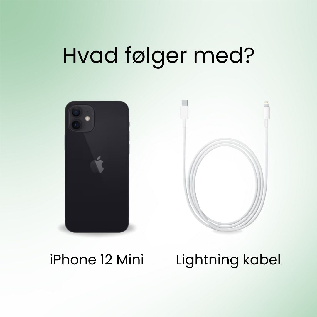 iPhone 12 Mini